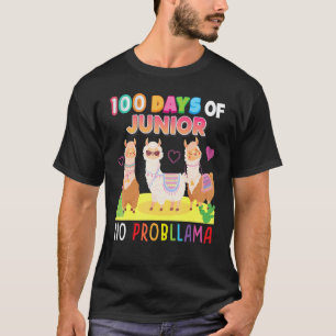Camiseta 100 Dias De Júnior Sem Probllama 100º Dia Escola L