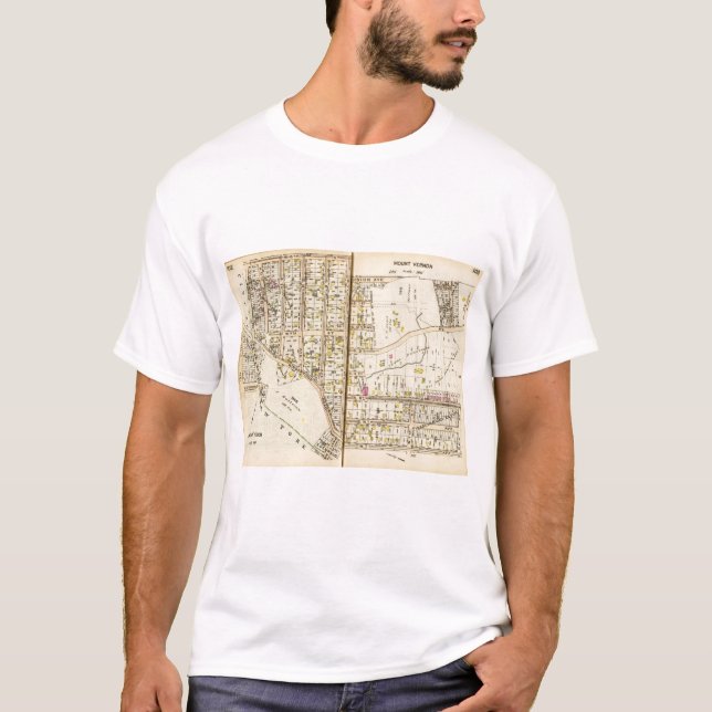 Camiseta 102103 Mt Vernon (Frente)