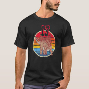 Camiseta 13 Aniversário I Stegosaurus Stenops I Family Matc