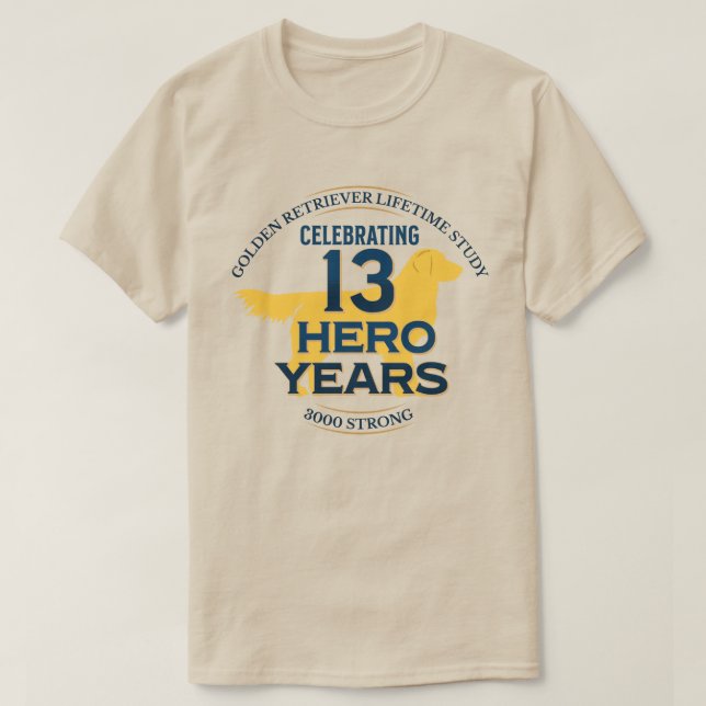 Camiseta 13 Anos Heróis - Luz (Frente do Design)