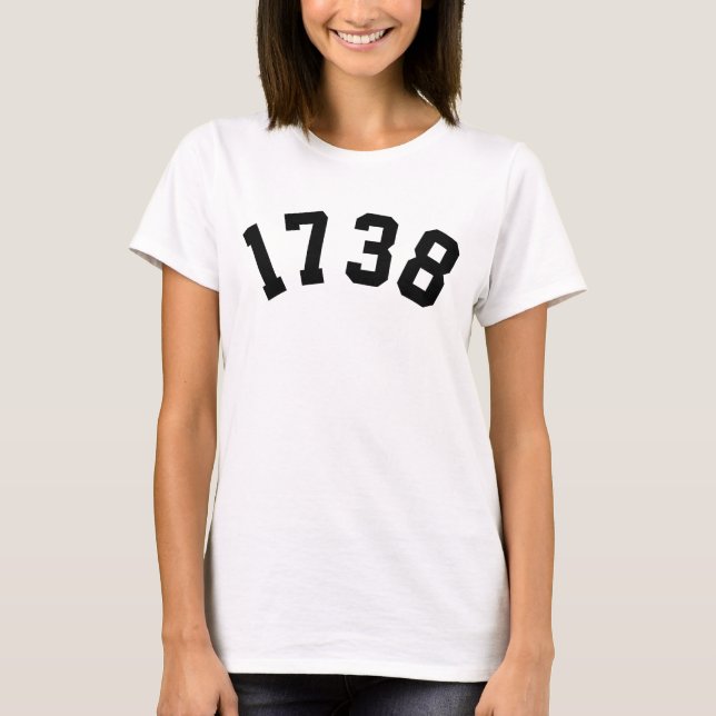 CAMISETA 1738 (Frente)