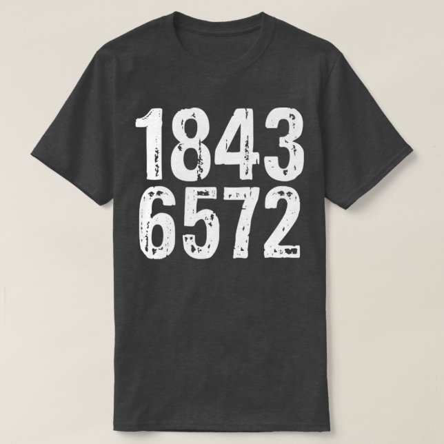 Camiseta 1843 humor adulto ofensivo (Frente do Design)
