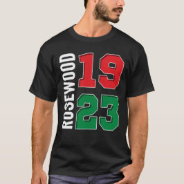 Camiseta 1923 Rosewood a Black Wall Street History