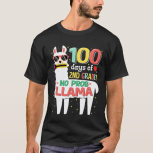 Camiseta 2º ano 100 dias de escola meninas meninos lhama se