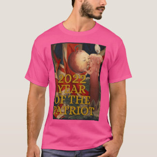 Camiseta 2022 ano do patriota