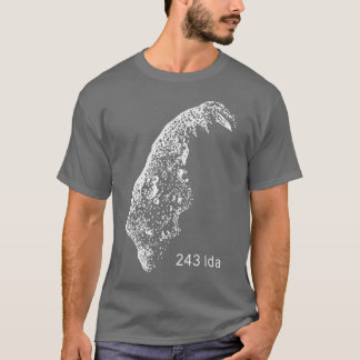 Camiseta 243 Ida
