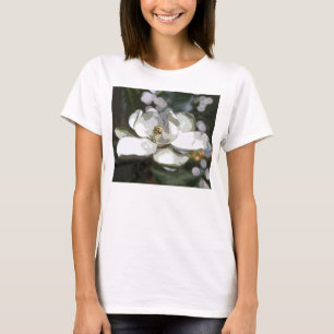 CAMISETA 2760