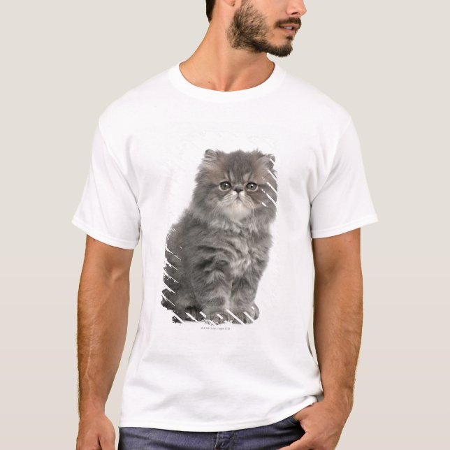 Camiseta 2 meses velho) assento persa do gatinho ( (Frente)