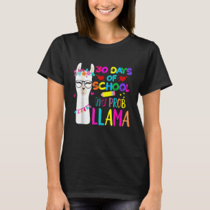 Camiseta 30 Dias De Escola Professor Sem Prob Llama Meninas