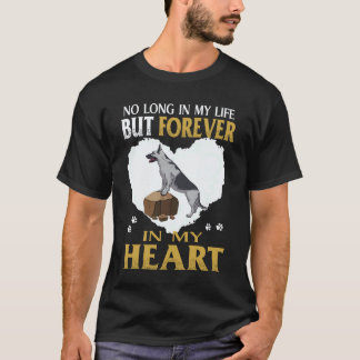 Camiseta 35 Não Mais Na Minha Vida Mas Para Sempre No Meu C
