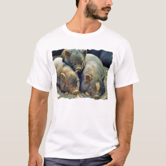 Camiseta 3 porcos pequenos
