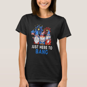 Camiseta 4 De Julho Gnomos Americanos Celebrando Aqui Mesmo