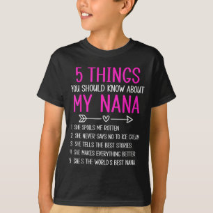 Camiseta 5 Coisas que Deveria Saber Sobre a Nana Netas