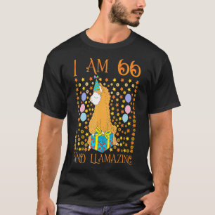 Camiseta 66.º aniversário para mulheres vovó mãe 66 anos