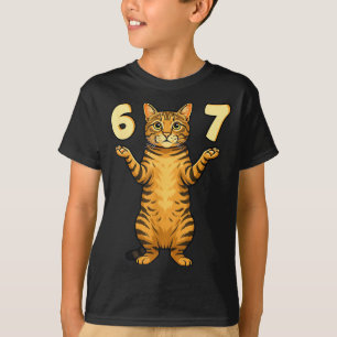 Camiseta 67 Meme de Gato Engraçado Gíria Humor da Geração A