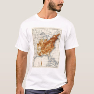 Camiseta 7 população 1840