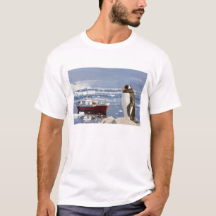 Camiseta A Antártica, angra de Neko (porto). Pinguim de