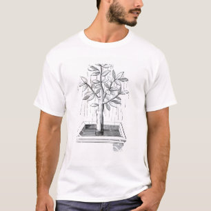 Camiseta A árvore de vida, ou a árvore Weeping