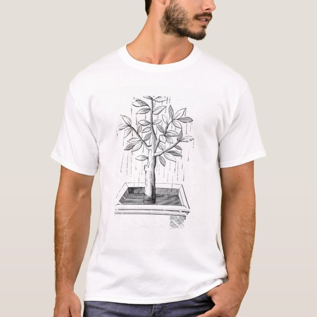 Camiseta A árvore de vida, ou a árvore Weeping (Frente)
