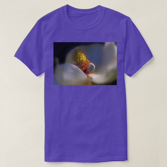 Camiseta A Beleza Dentro (Frente do Design)