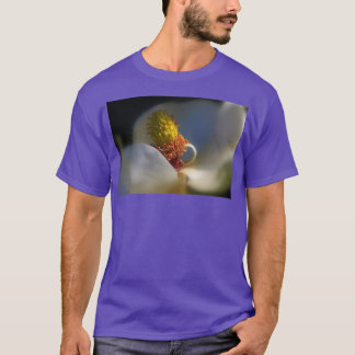 Camiseta A Beleza Dentro