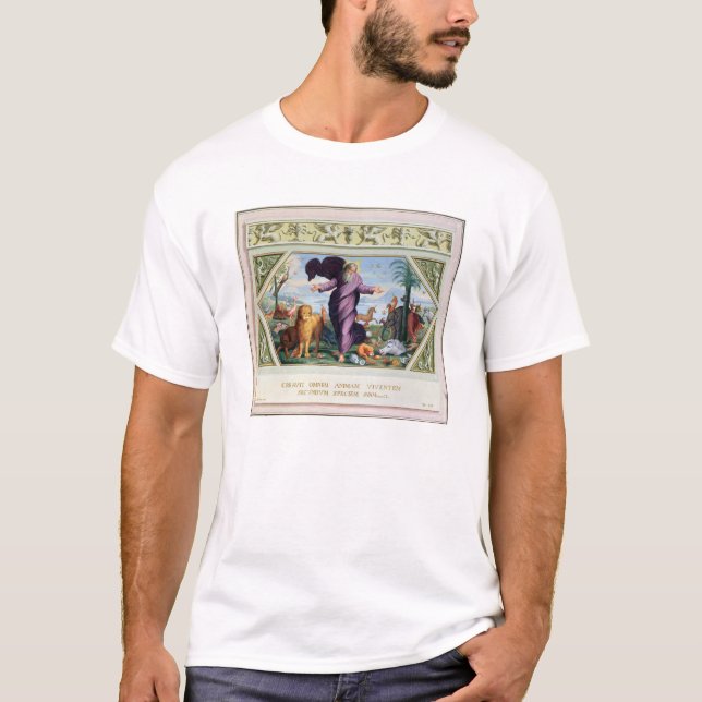 Camiseta A bíblia de Raphael: Trinta e três cenas do Ol (Frente)