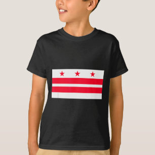 Camiseta A Capital Das Nações, O Distrito, Washington, Dc