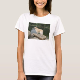 Camiseta A Dog At A Pond