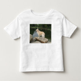 Camiseta A Dog At A Pond
