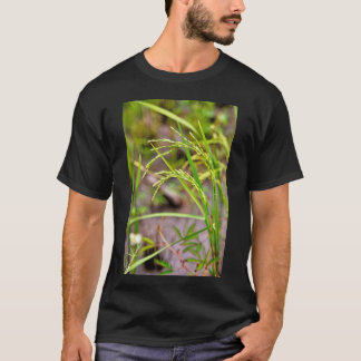 Camiseta A espiga de arroz em desenvolvimento, um símbolo d