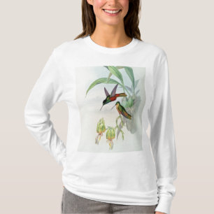 Camiseta A estrela de Bonaparte fronteou o colibri