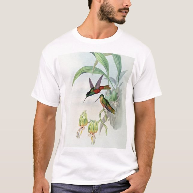 Camiseta A estrela de Bonaparte fronteou o colibri (Frente)