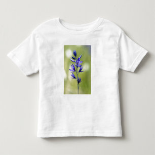 Camiseta A flor de um lírio camas no Condado de Valley,