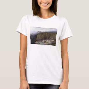 Camiseta A floresta de Valdoniello, Córsega, 1869 (óleo e