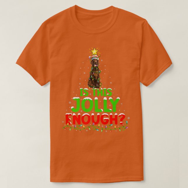 Camiseta A Iluminação É Esta Jolly O Suficiente Para O Irla (Frente do Design)