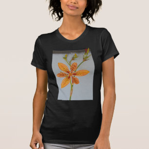 Camiseta A Iris, avistada por laranja, chamava-se Lily Blac