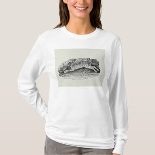 Camiseta A lebre