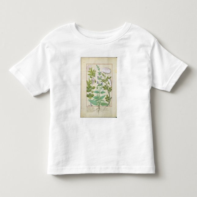 Camiseta A madressilva, sábio e aumentou (Frente)