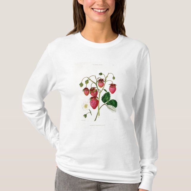 Camiseta A morango de Roseberry, gravada por Watte (Frente)