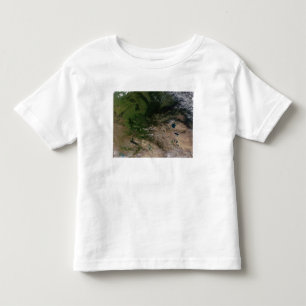 Camiseta A mudança na vegetação