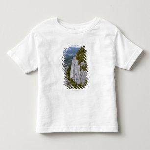 Camiseta A opinião "principal" de Arial em Squamish