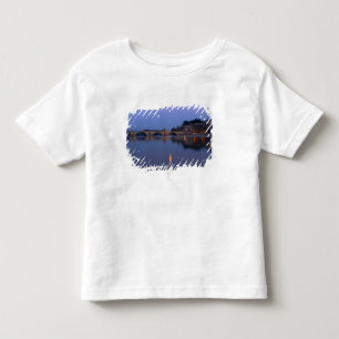 Camiseta A ponte Pont St. Benezet em Avinhão no