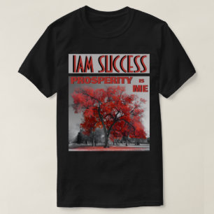 CAMISETA A PROSPERIDADE SOU EU