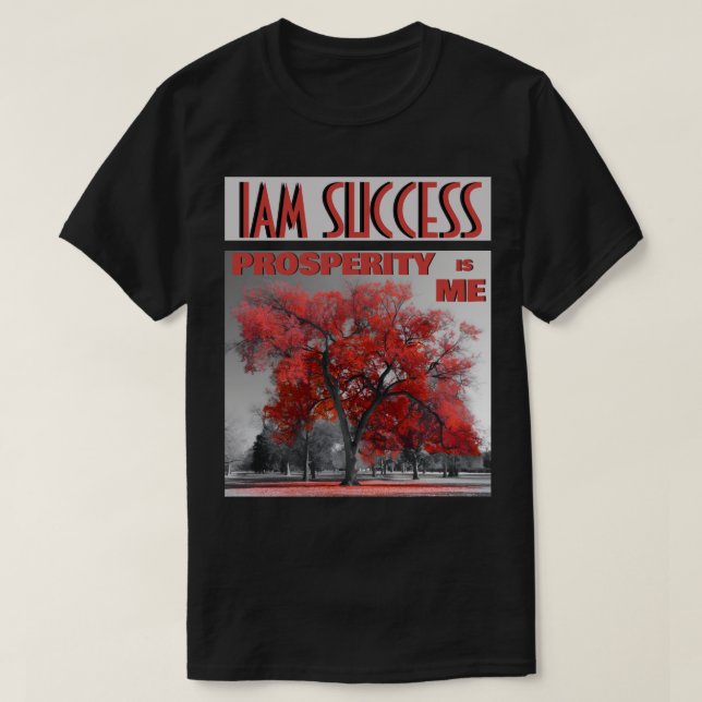 CAMISETA A PROSPERIDADE SOU EU (Frente do Design)