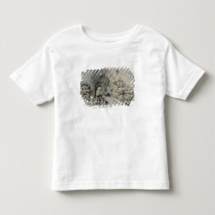 Camiseta A sepultura de pouco Nell