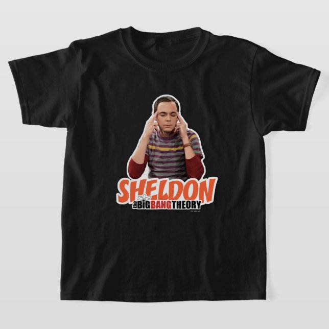 Camiseta A Teoria do Big Bang | Sheldon (Postura )