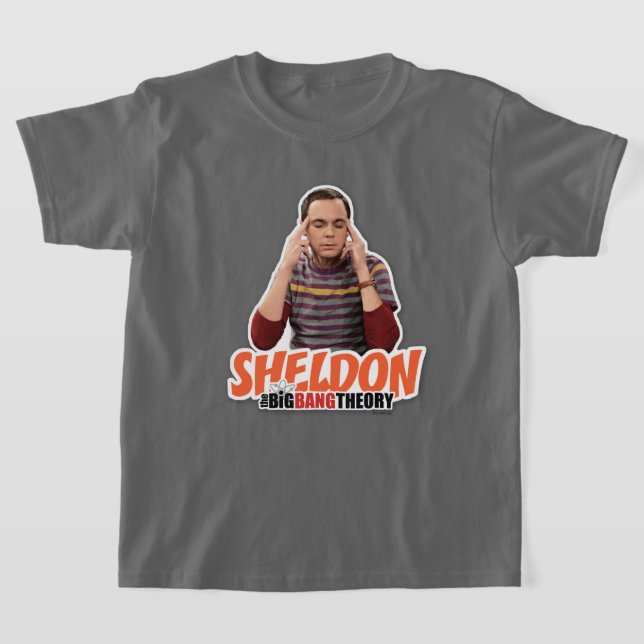 Camiseta A Teoria do Big Bang | Sheldon (Postura )