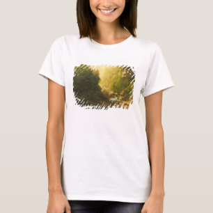 Camiseta A torrente da montanha, c.1820-30 (óleo em canvas