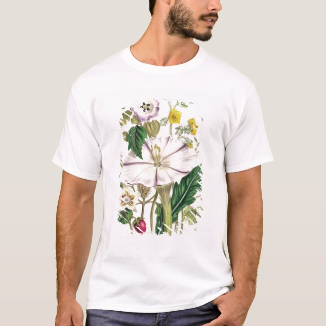 Camiseta A trombeta do diabo, chapeia 46 "das senhoras (Frente)