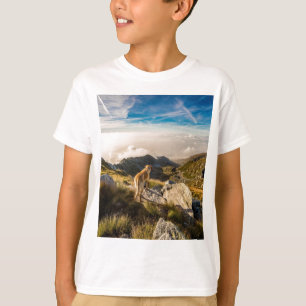Camiseta A viagem